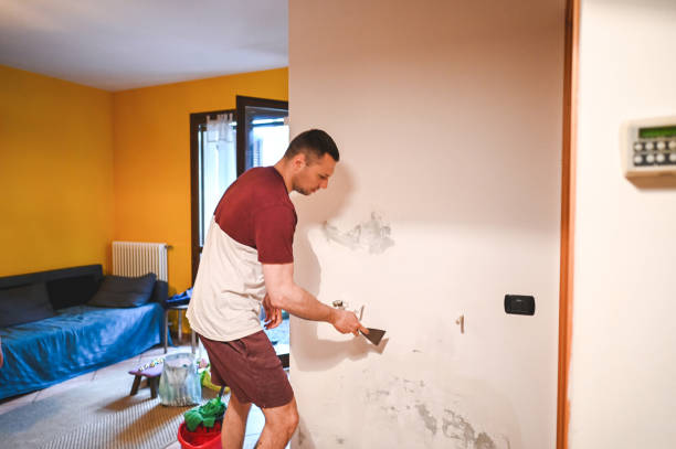 Best Post-Remediation Services in Tamalpais Homestead Valley, CA